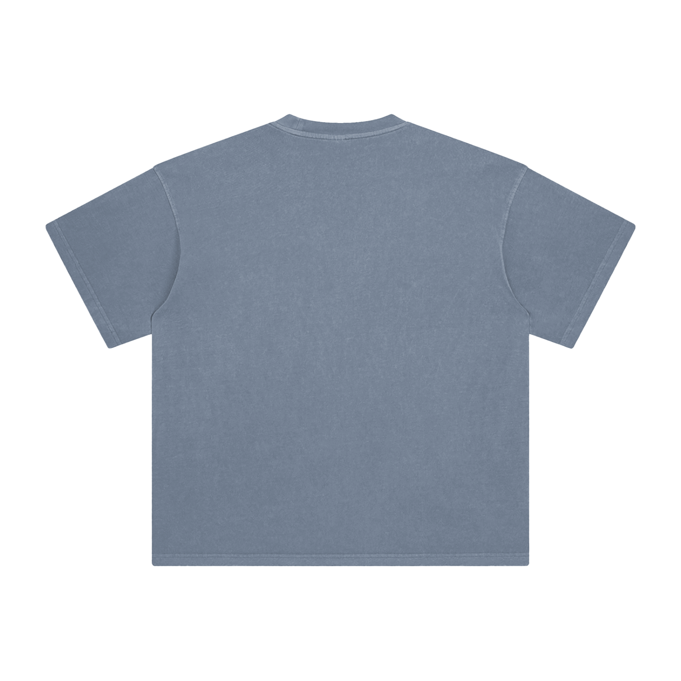 Lion Hearted- Leader of the Family- Men's Enzyme Washed Christian T-Shirt