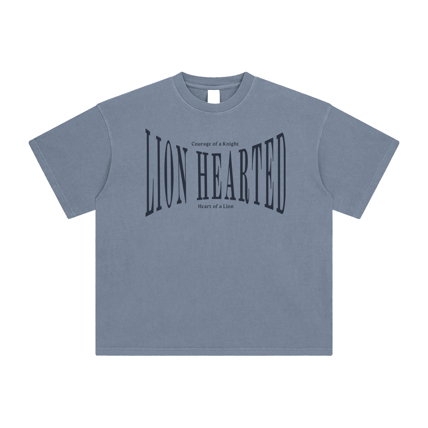 Lion Hearted- Leader of the Family- Men's Enzyme Washed Christian T-Shirt