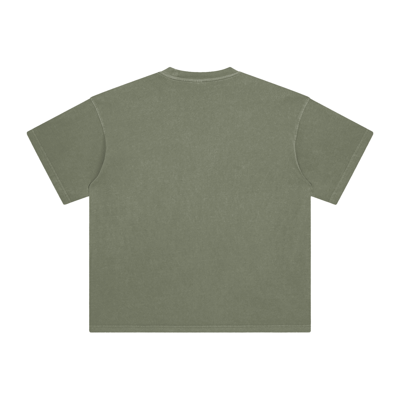 Lion Hearted- Leader of the Family- Men's Enzyme Washed Christian T-Shirt