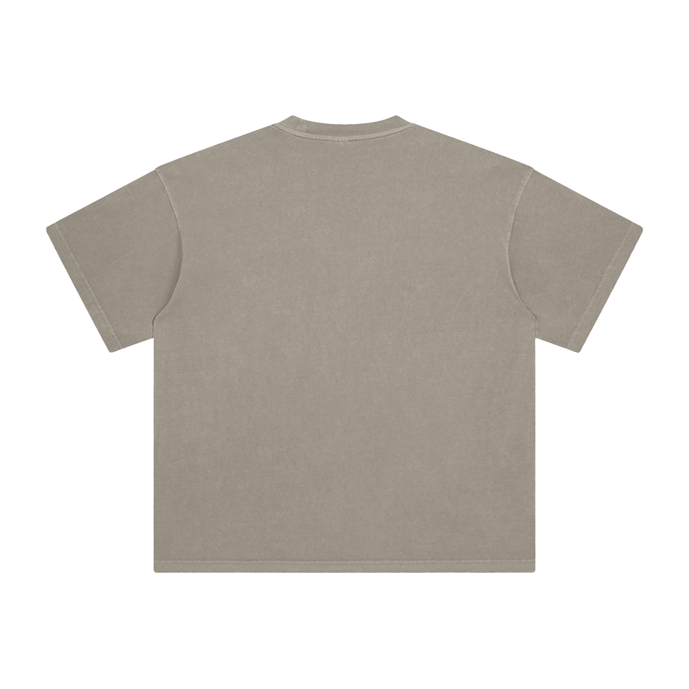 Lion Hearted- Leader of the Family- Men's Enzyme Washed Christian T-Shirt