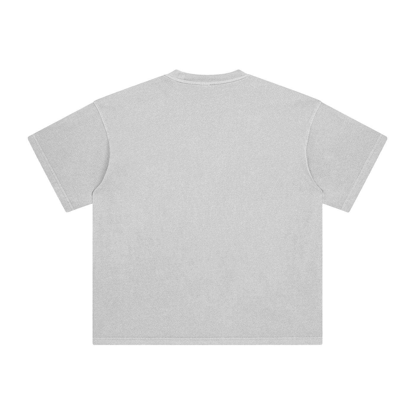 Lion Hearted- Leader of the Family- Men's Enzyme Washed Christian T-Shirt